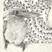 Toshiyuki Komura Gallery